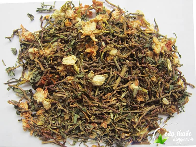 cach-bao-quan-tra-son-mat-hong-sam