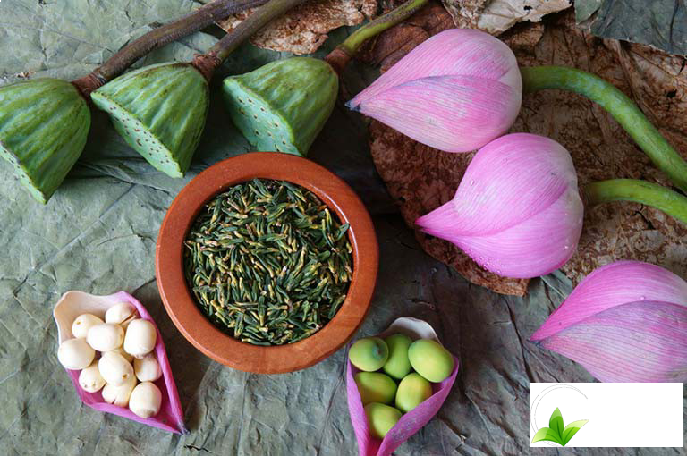 Địa chỉ bán trà tâm sen uy tín