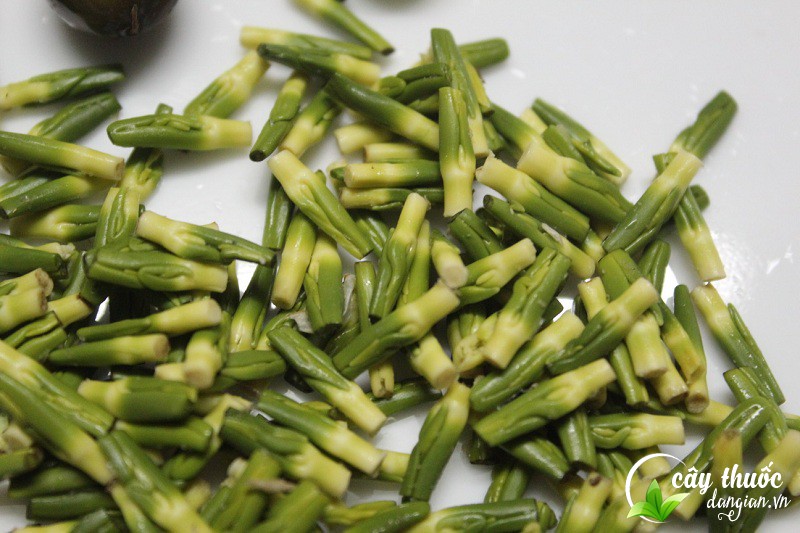 Sử dụng trà tâm sen như thế nào cho đúng cách?