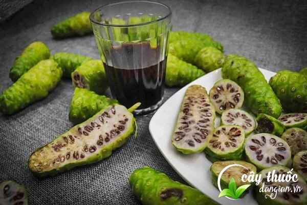 Lưu ý nên tham khảo ý kiến của bác sĩ chuyên khoa trước khi dùng các bài thuốc từ quả nhàu