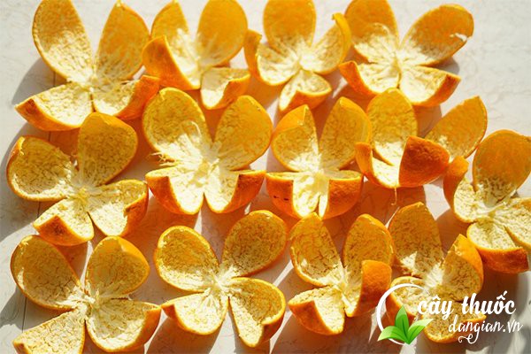 Trần bì hay còn gọi là vỏ quýt, quất bì,... là một loại dược liệu được sử dụng trong Đông y để làm thuốc chữa bệnh.