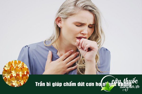Trần bì thường được dùng để làm bài thuốc trị ho, viêm phế quản,...