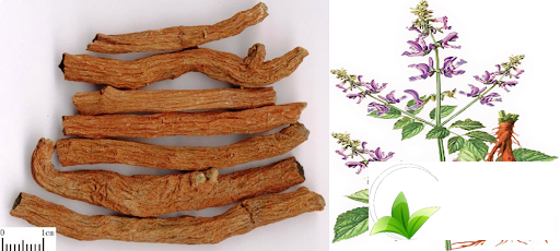 Cách ngâm rượu từ đan sâm