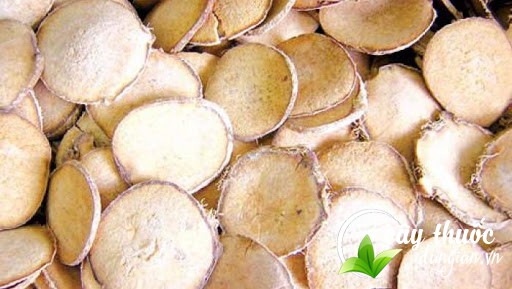 Bài thuốc giảm mỡ máu từ trạch tả