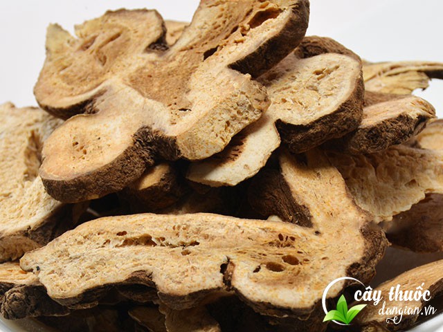 Nên mua bạch truật ở đâu?