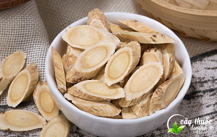 Hoàng kỳ ngâm rượu cải thiện chứng mất ngủ