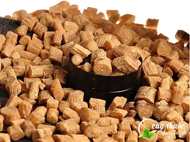 Ngưu tất chữa bệnh xương khớp