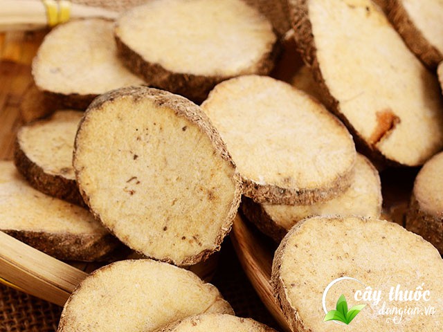 Mua trạch tả ở đâu?