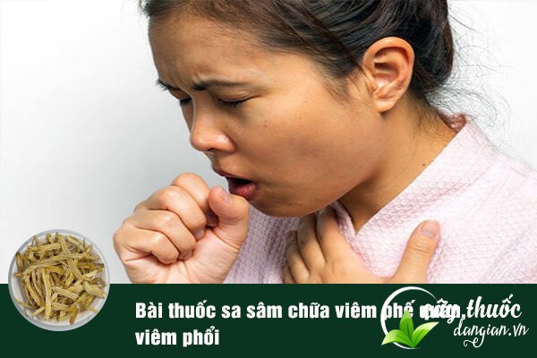 Sa sâm thường được sử dụng để làm bài thuốc chữa viêm phế quản, viêm phổi rất tốt.