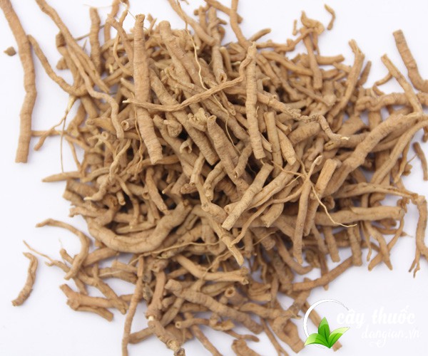 Lưu ý khi sử dụng viễn chí