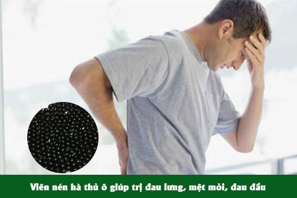 Viên nén hà thủ ô giúp chữa đau lưng, mệt mỏi