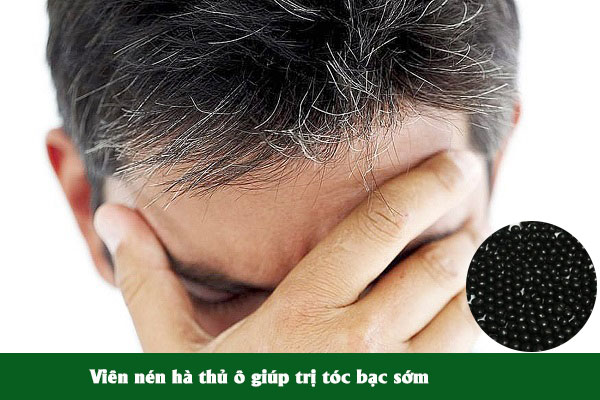Viên nén Hà thủ ô giúp trị tóc bạc sớm