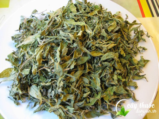 Thân và lá xạ đen sau khi được phơi khô