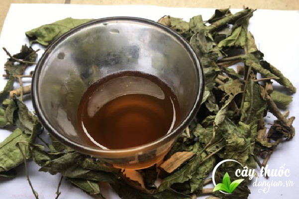 Sử dụng trong sắc thuốc