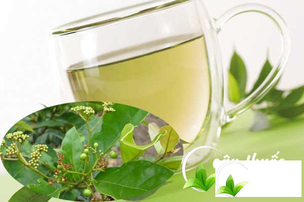 Trà xạ đen đun loãng có màu nhạt