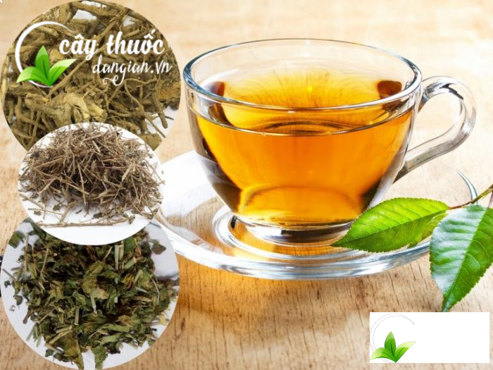 Các sản phẩm từ xạ đen tại Cây Thuốc Dân Gian luôn đạt chất lượng tuyệt hảo