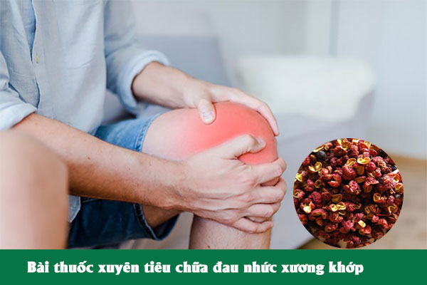 Xuyên tiêu được nhiều người chọn làm bài thuốc chữa đau nhức xương khớp