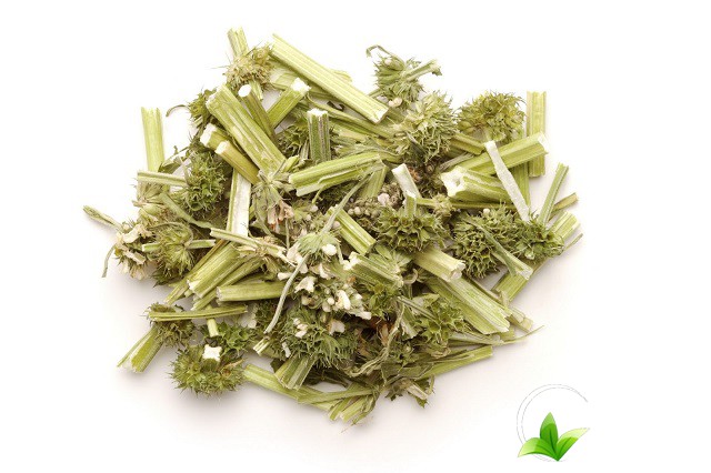 Tác dụng làm thuốc của cây ích mẫu